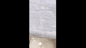 工厂女厕后面约战50岁女同事1